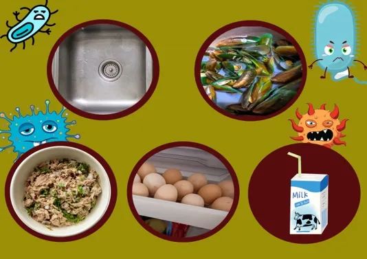 室温下解冻食物容易滋生细菌吗,食物放冷冻怎么解冻才不会有细菌