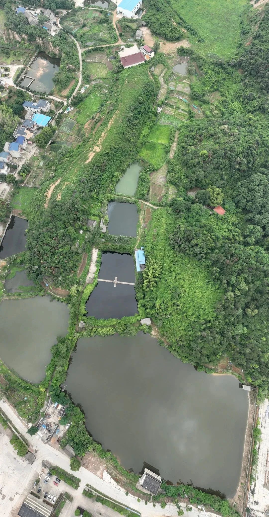 寻找鄂城最美村落｜泽林：云梦泽畔多芳草