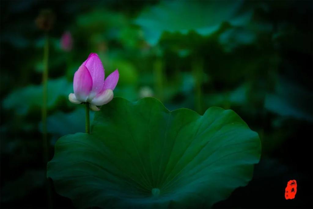 周末到河北畅游大美燕赵,周末走进河北