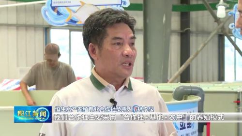 镇村书记谈百千万丨沙扒：以实施“百千万工程”为契机谱写中心镇高质量发展新篇章