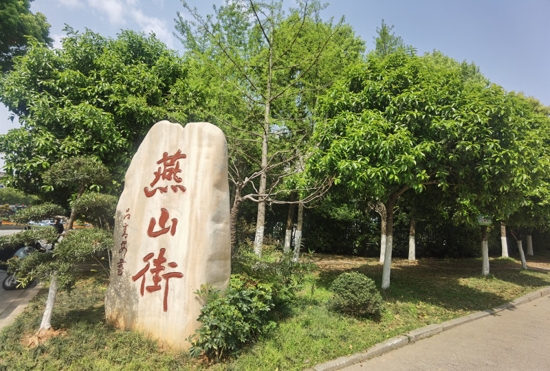 我在燕山街当点长