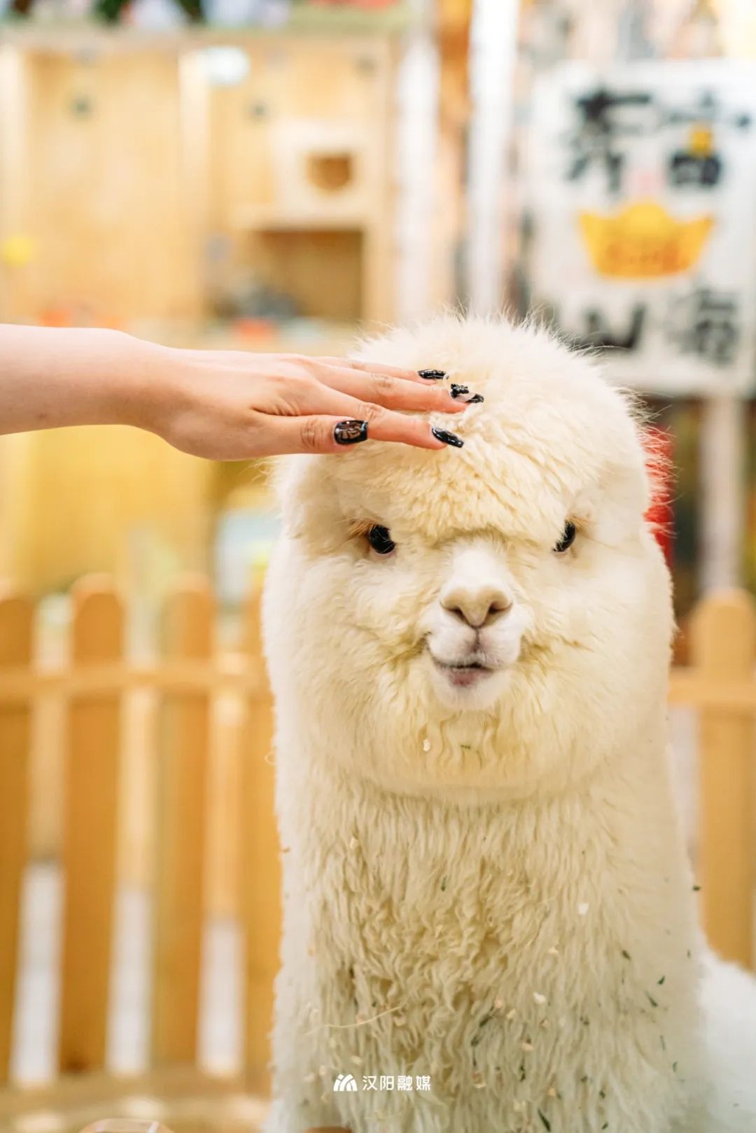 汉阳江滩儿童乐园和亲子乐园,汉阳十大免费儿童游乐园