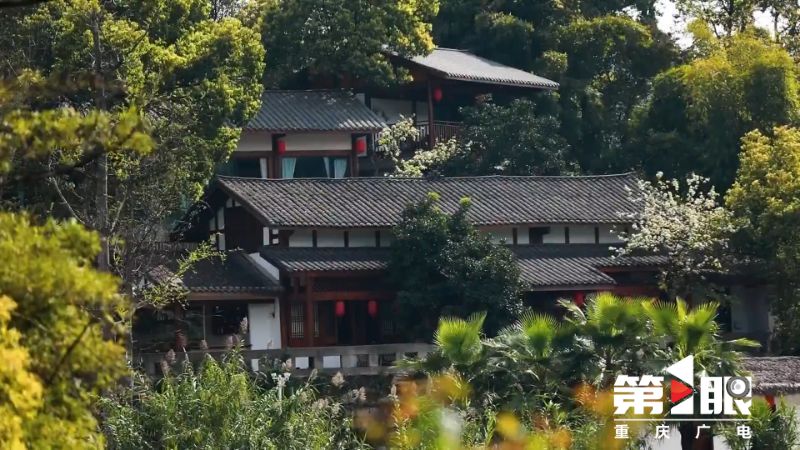 第1眼重庆广电新闻爆料,重庆广电第1眼热线电话