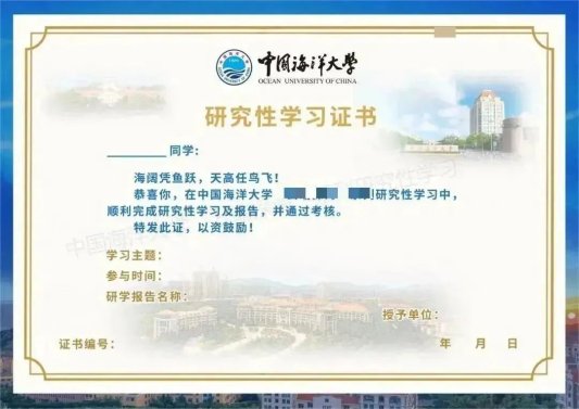 海陆空夏令营,青岛海滨夏令营