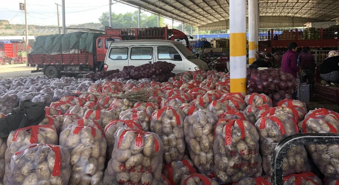 临洮县新添镇崖湾村杨家大庄,甘肃省定西市临洮县新添镇崖湾村