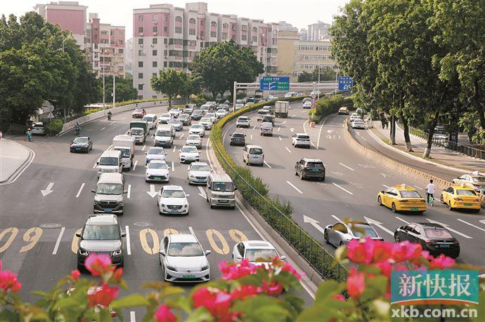 国内网约车行业现状及前景,网约车行业的现状与前景