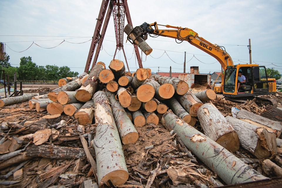 菜板防裂,菜板生意兴隆
