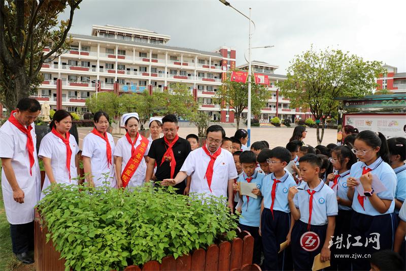 罗平县新的学校,罗平九龙中心学校