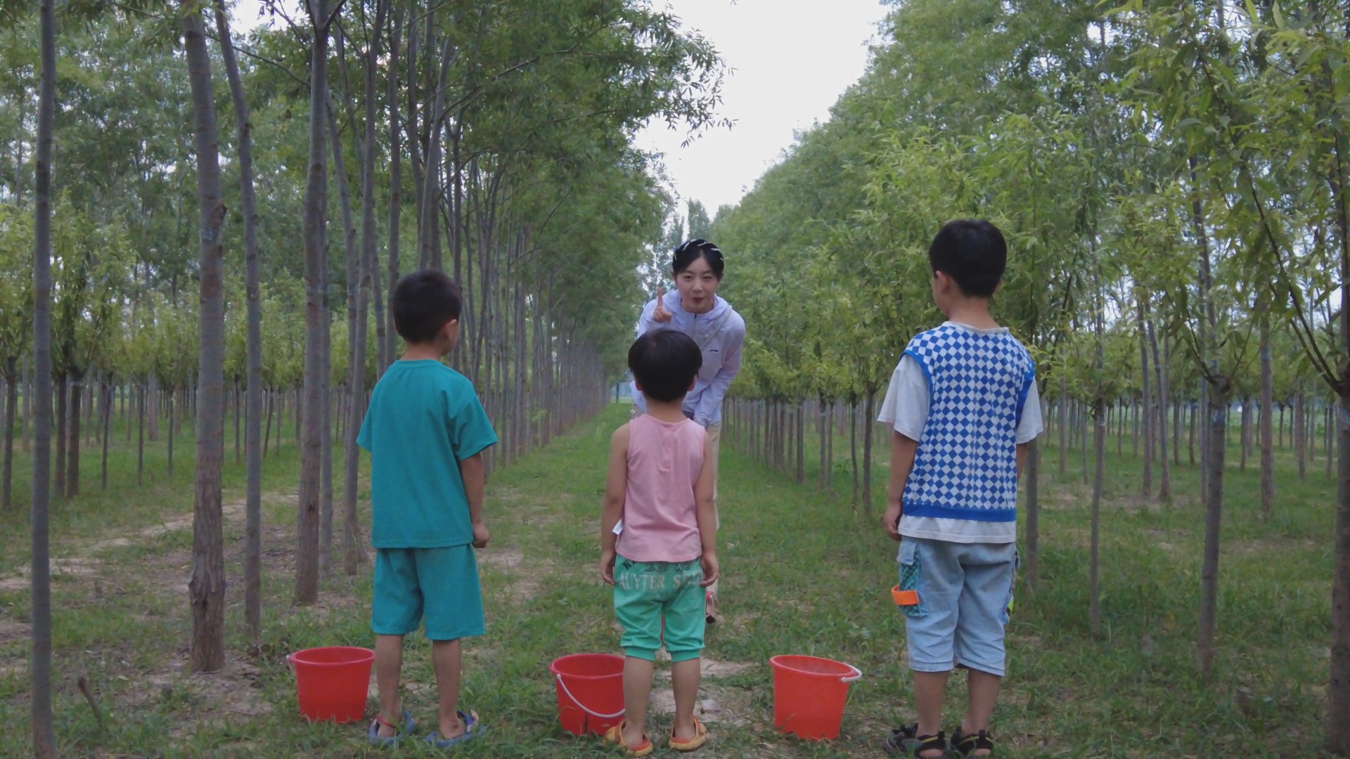 养殖金蝉一亩地投资多少钱合适,扶沟亚伟金蝉养殖基地