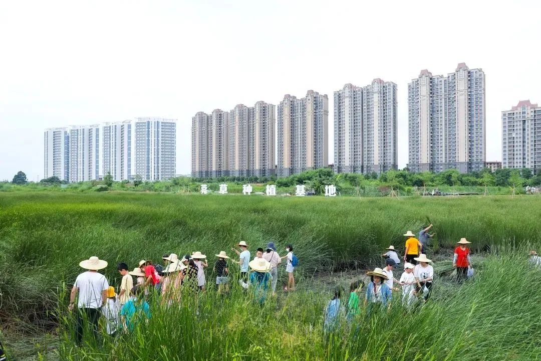 东莞暑期旅游推荐,东莞半日游最佳景点