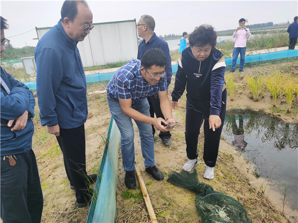 辛巴辛有志直播助农有妙招,景明公司吕宝花巾帼电商助农团队