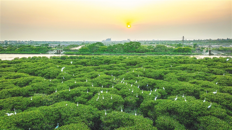 海南暑假旅游攻略自由行,海南研学亲子游