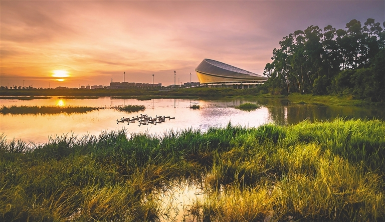 海南暑假旅游攻略自由行,海南研学亲子游