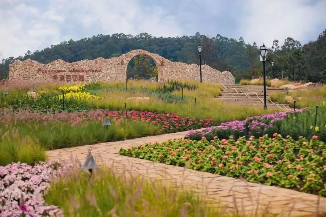 东莞暑期旅游推荐,东莞半日游最佳景点