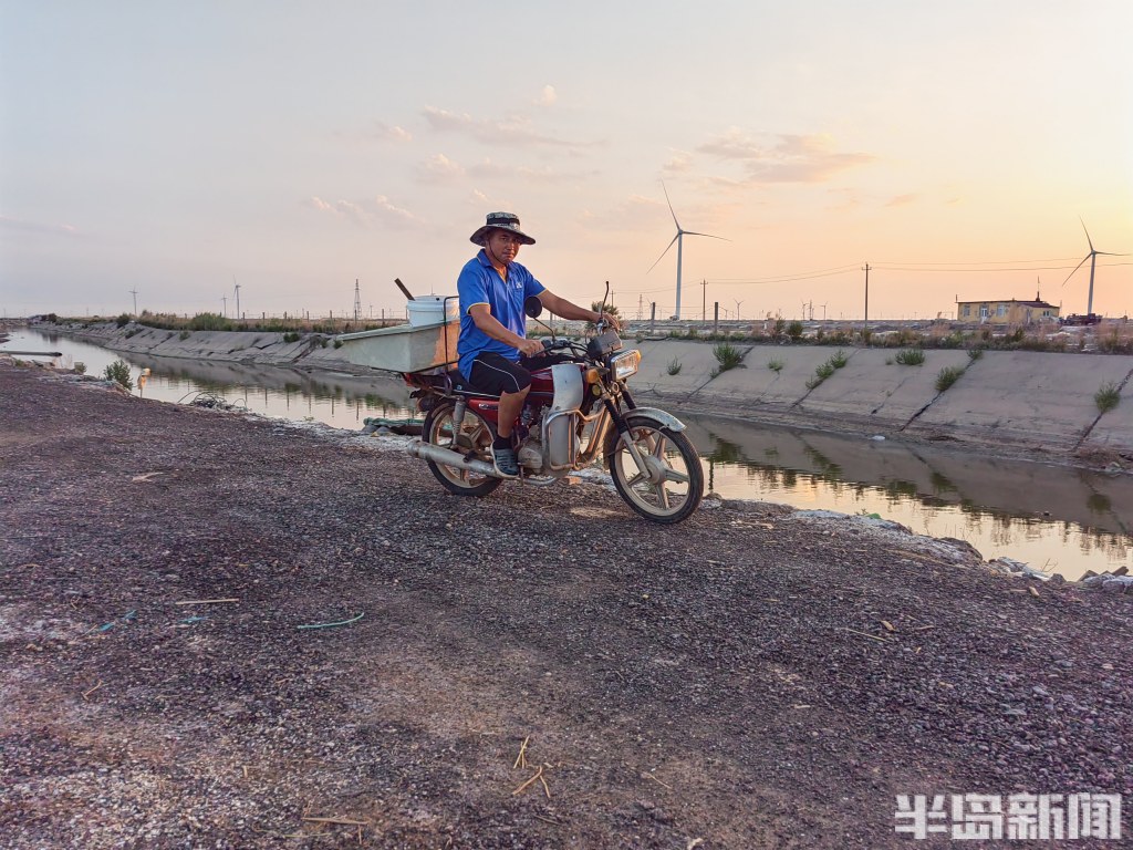 青岛虾农，跨城淘金！2000多位大拿，走南闯北；20多万斤鲜虾，每天从鳌山卫游向全国