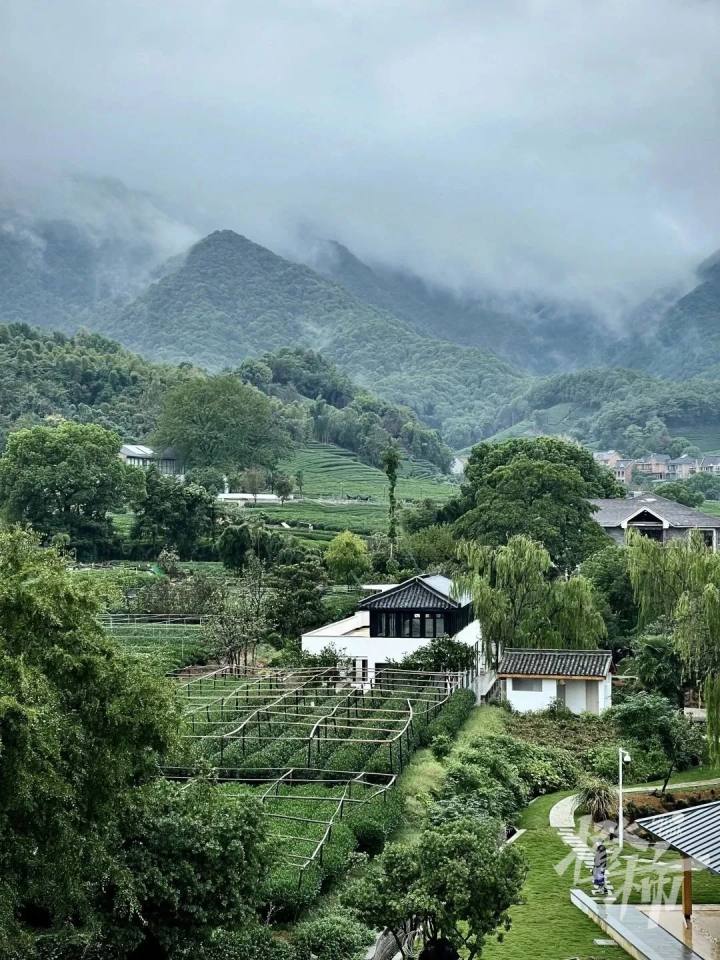 西投银泰城今年亮相！转塘的几个大项目建得怎么样了？