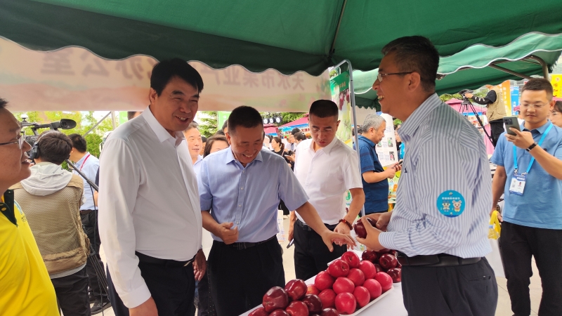甘肃天水花牛苹果爆款榜,甘肃天水花牛苹果热销第一名