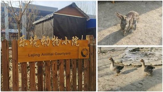 哏都天津养老院,哏都养老院