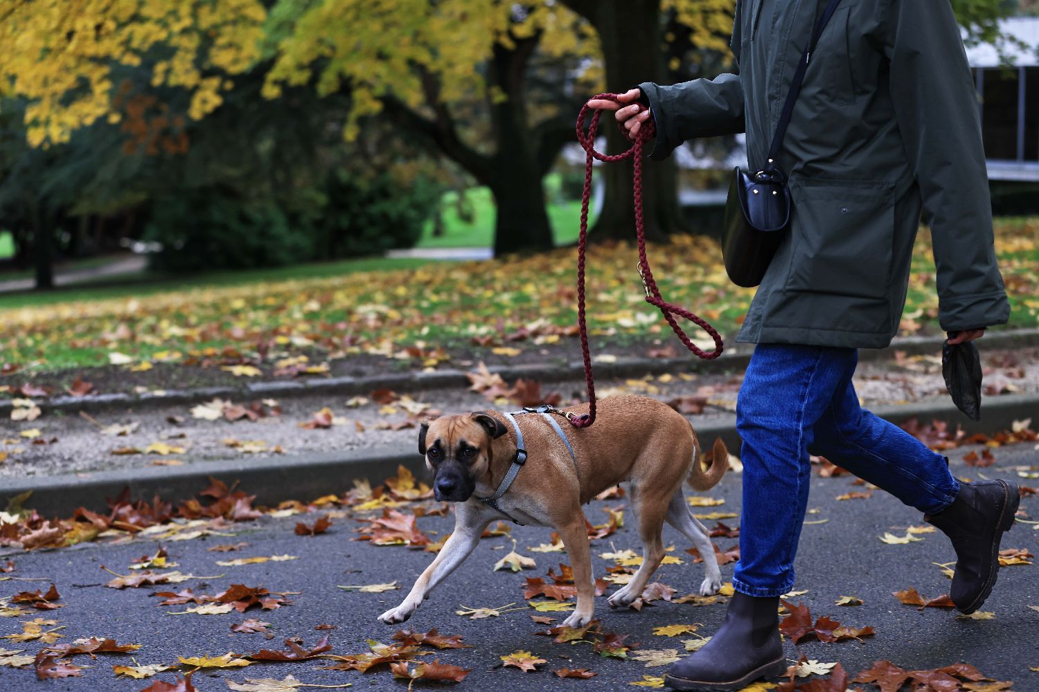 法国巴黎春天般的草木气息,法国巴黎绝美的景色