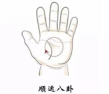 小孩子厌食不想吃饭怎么办,小儿厌食症怎么快速解决