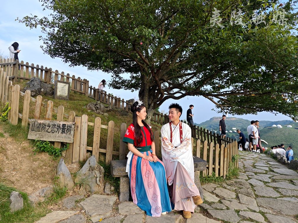 向幸福出发完整版,李尚容向幸福出发