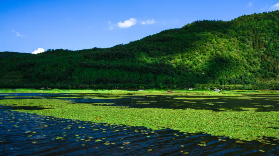 科学家论坛能为腾冲带来什么,腾冲科学家论坛为什么在腾冲召开