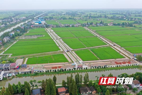 乡愁赋,乡愁文化赋能乡村振兴