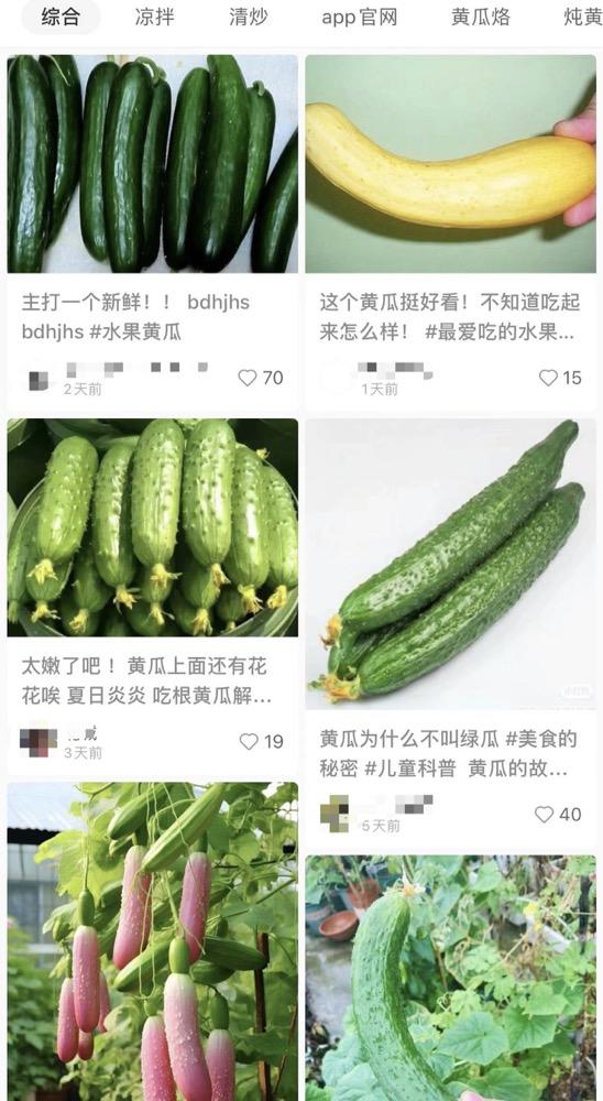 小红书旅游搭子被指,小红书谈涉旅游搭子传闻