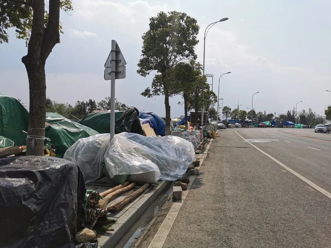 大理三月街药材批发,大理三月街药材市场2019