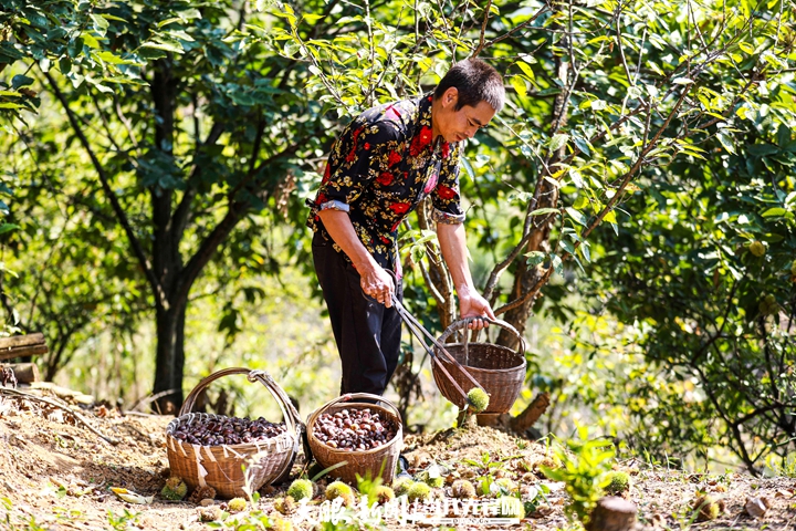 天眼农家乐,贵州天眼村全景航拍