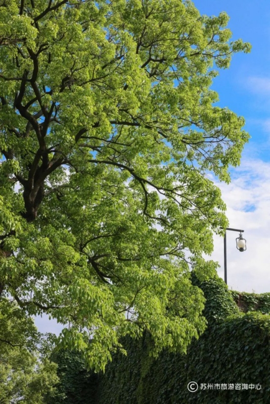 苏州值得逛的免费公园,苏州逛公园