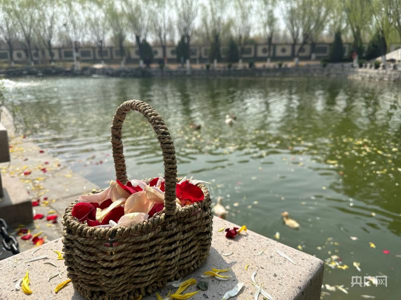 骨灰撒向大海怎么祭奠,亲人的骨灰海葬后如何祭奠