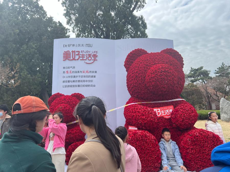 人文青岛特别策划|人间四月天，芳菲山海间——春花漫天遍野，追溯青岛花海背后的人文气息和吸引力法则