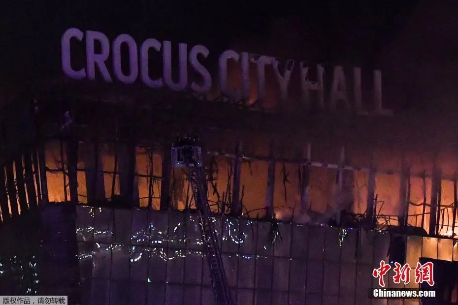 枪手落网后审讯,枪手受审