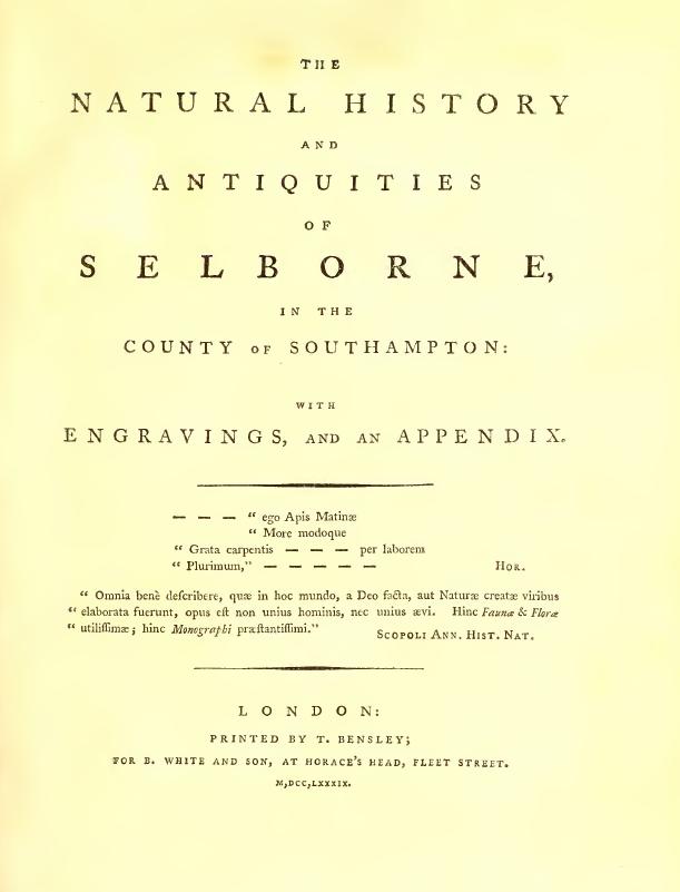 英国乡村文学,从乡村走到英国剑桥