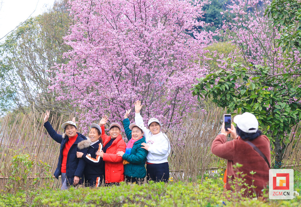 青山桃花节开幕,2019尖山桃花节