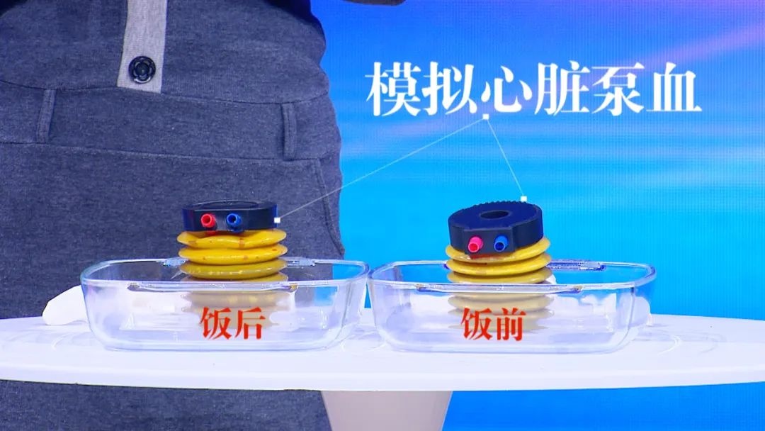 养生堂治疗心绞痛的视频,养生堂关于心脏讲解