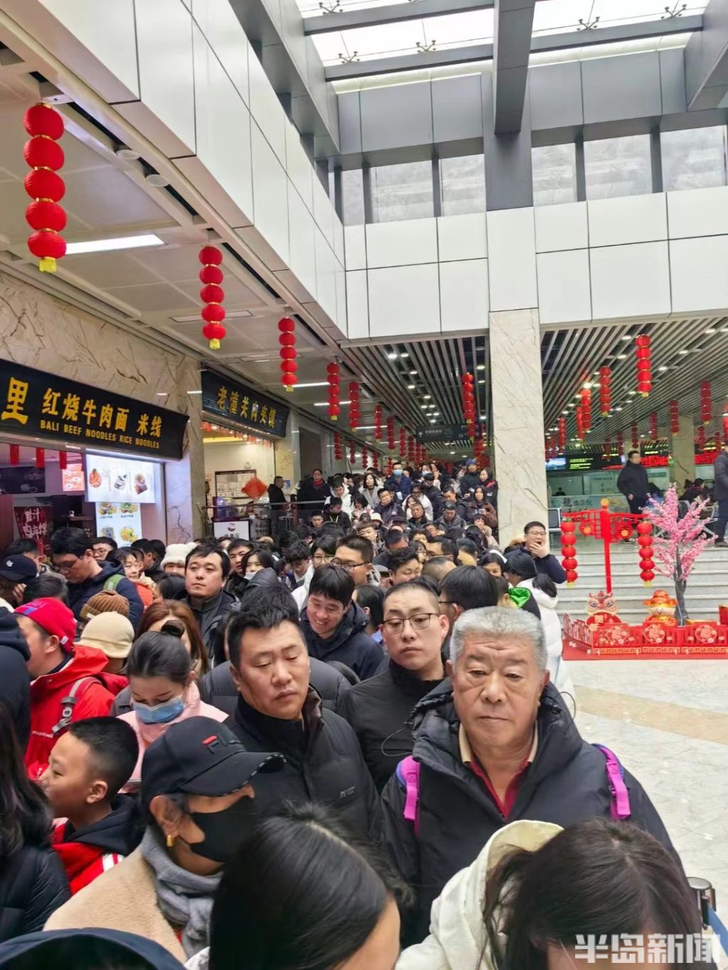 半岛调查,半岛调查最新视频