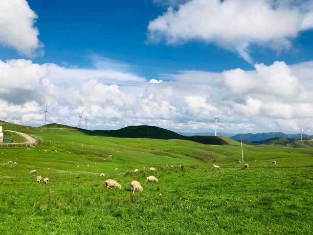 新春走基层乡村旅游让日子更红火,新春走基层扶贫致富