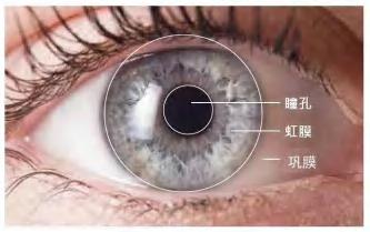 环上大成果转化案例|点与面智能-虹膜及多模态生物识别解决方案提供商